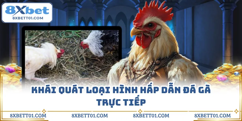 Khái quát loại hình hấp dẫn đá gà trực tiếp