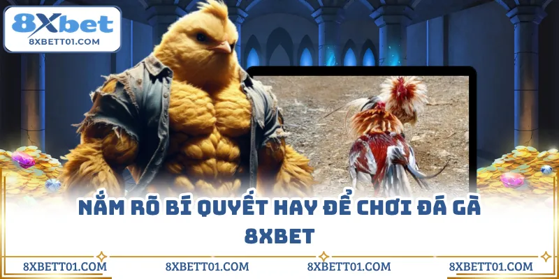 Nắm rõ bí quyết hay để chơi đá gà 8XBET
