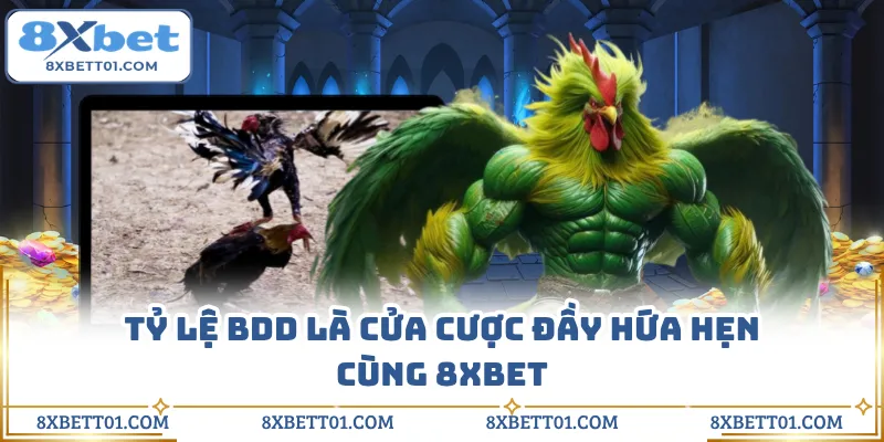 Tỷ lệ BDD là cửa cược đầy hứa hẹn cùng 8XBET